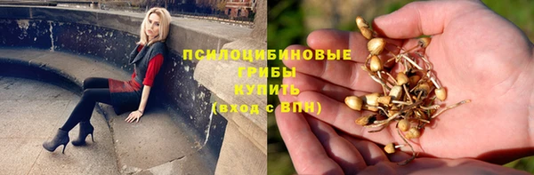 spice Нефтекумск