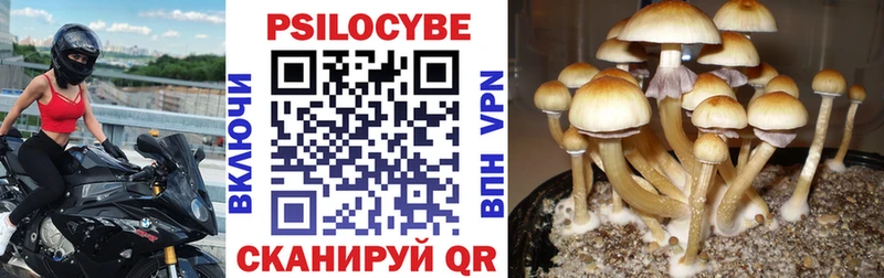 Галлюциногенные грибы мухоморы  Венёв 