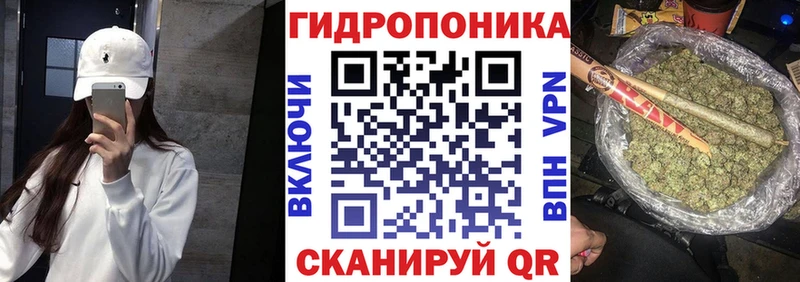Шишки марихуана AK-47  Венёв 